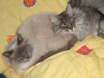 Dusty & Noel 2012
